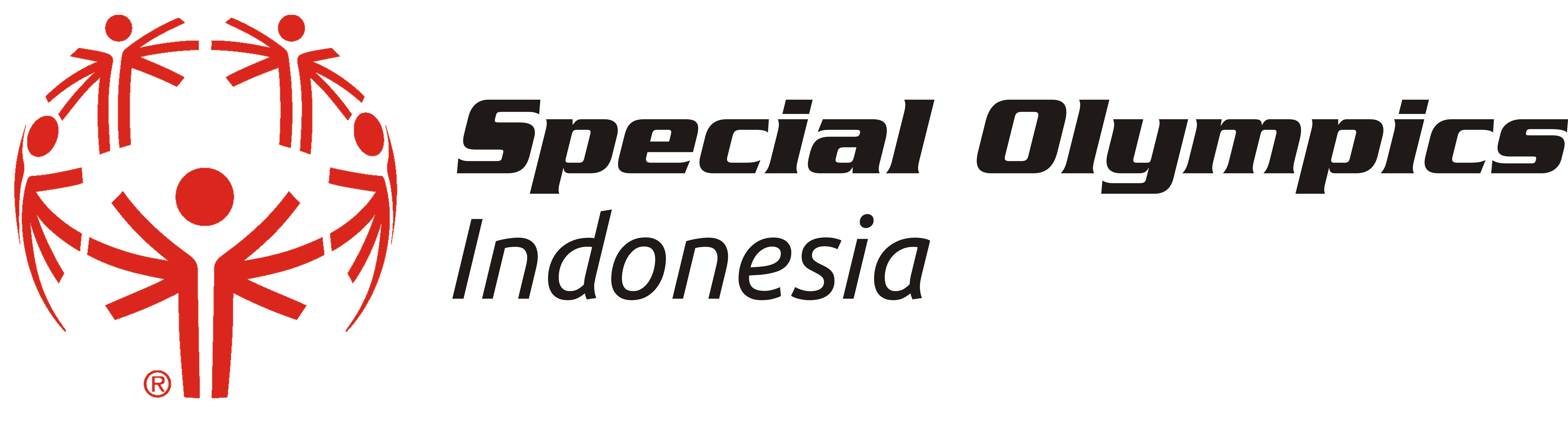 logo soina new 60